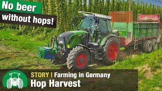 The hop harvest at Gersdorfer Agrarproduktion | Biodiversity | Agriculture | NaPA Project | Tractors