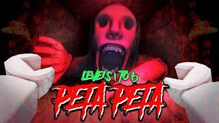 PETAPETA - Level 1 to 6 [Full Walkthrough] - Roblox