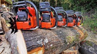 Husqvarna 365/372 series, battle of the generations (365 SP, 372 OE, 372xt, 365xt and G372xp bonus)