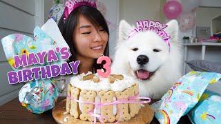 My Dog's EXCITING Third Birthday!!! [With DIY Dog Birthday Cake Recipe]