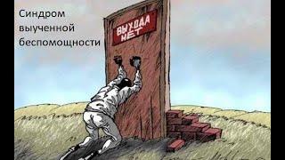 Синдром выученной беспомощности и наша жизнь.   Как потерять надежду.