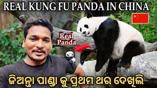 ଜିଅନ୍ତା ପାଣ୍ଡା କୁ ପ୍ରଥମ ଥର ଦେଖିଲି || REAL KUNG FU PANDA IN CHINA #mutraveller