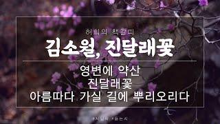 진달래꽃, 김소월 / 영변에 약산 진달래꽃 아름따다 가실 길에 뿌리오리다 | [시 낭송] 허희의 책갈피