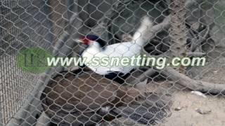 bird netting, bird netting fence, bird cages, bird mesh, bird fence