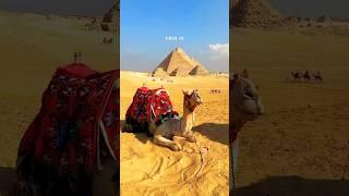 Places On Earth That Don’t Feel Real in Japan , Egypt , France  #travel #nature #adventure