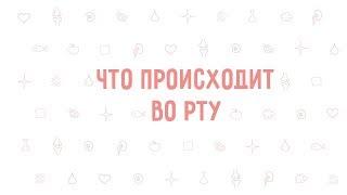 15. Что происходит во рту . Окружающий мир - 3 класс