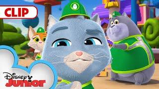 Fast And Furriest | Pupstruction | NEW Show | @disneyjr​