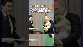 Putin has a soft spot for animals. #putin #russia #animals #dogs #horses #dolphins #cats