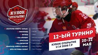 ХОККЕЙ U14 ШХМ "ЯСТРЕБЫ СЕЛЕКТ"  -  ХК "КРИСТАЛ"