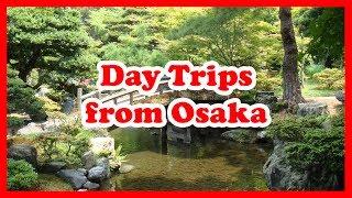 5 Top-Rated Day Trips from Osaka, Japan | Asia Day Tours Guide