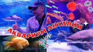 АКВАРИУМ АНТАЛИИ! Самый большой туннельный Аквариум! ANTALYA Турция