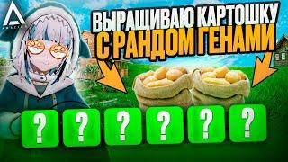 РАБОТАЮ НА ФЕРМЕ‍ С РАНДОМНЫМИ ГЕНАМИ КАРТОШКИ НА AMAZING ONLINE