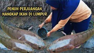 Menangkap Ikan di selokan kering