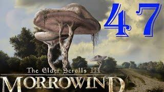 [47] TES III Morrowind  [Fullrest Repack v.1,4] Имсин Видящая