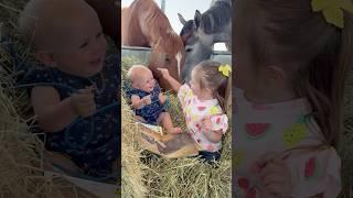 My heart  #horse #equestrian #horsefan #horsegirl #family