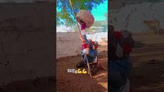 #phalvan #59kg #pahalvan #stendra #pahlvan