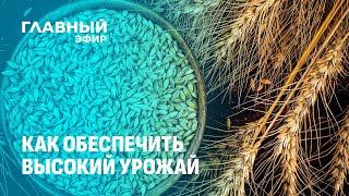 Технологии и дисциплина: ключевые факторы успешной работы в АПК. Главный эфир