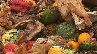 Grocery Store Uses Two Strategies To Avoid Sending Food Waste To Landfills