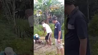 sing rukun ya , snajan beda pilihan