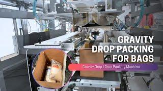 Gravity Drop Case Packing Machine for Bags