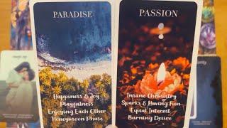 THEY DON'T DESIRE ANYONE THE WAY THEY DESIRE YOU!  COLLECTIVE LOVE READING ️‍ (TAROT READING) 