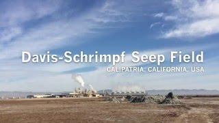 Davis-Schrimpf Seep Field