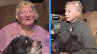 Their side of the story: Women accused of neglecting 70 dogs speak