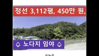 정선 3,112평, 450만 원 ( 노다지 임야 )