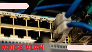 How to Configure Voice VLAN in CISCO Switch | CCNA 200-301