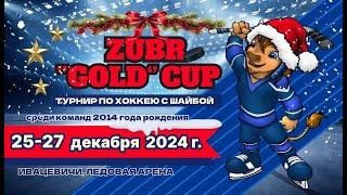 Матч IV Б1 – А2. Хоккей, турнир ZUBR GOLD CUP | Ивацевичи |