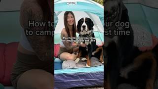 Desensitization before camping is SO important! ️ #campingwithdogs #campingdog #camping #dogs