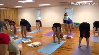 Adho Mukha Svanasana & Uttanasana  with Lois Steinberg, Certified Iyengar Yoga Teacher Advanced 2