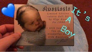 Reborn baby box opening | | Anastasia by olga Auer