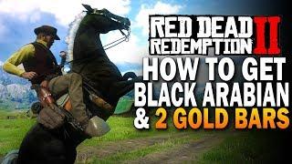 How To Get The Black Arabian & 2 Gold Bars! Red Dead Redemption 2 Horses [RDR2]