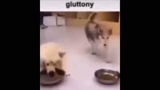 gluttony