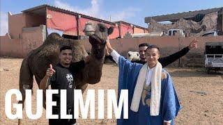 Walking Around Guelmim City 2022 | Oasis and The Biggest Souk of Camel in Morocco