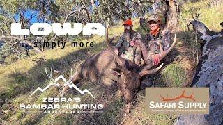 Sambar deer hunting (Glenda and her stag) Guided/hunter education.