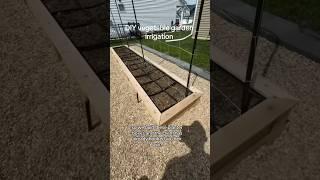 DIY vegetable garden irrigation. #diy #vegetablegarden