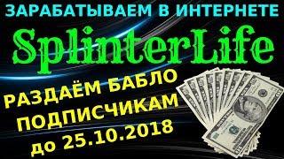 SplinterLife БУДЕМ ЗАРАБАТЫВАТЬ ВМЕСТЕ