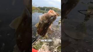 GIANT BASS JUMPS IN MY KAYAK.. 