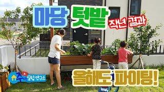 단독주택 마당 텃밭 가꾸기 I 작년 결과 I Gardening I 알바몬 광고 패러디