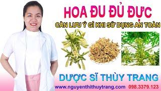 Hoa đu đủ đực có tác dụng gì cho sức khỏe #papaya @duocsitrangnguyen