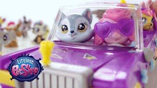 Littlest Pet Shop Toys - Pet Limo