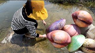 Ancient river after the flood. Some beautiful pearl shellfish