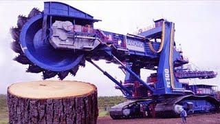 Wood Cutting Machines || Firewood Cutting Machine || BIJOY DADA