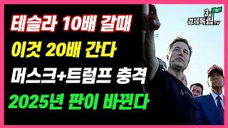 [테슬라 10배 갈 때.. 이것 20배 간다!! 머스크 + 트럼프 충격!! 2025년 판이 바뀐다!! ]#3.1경제독립tv