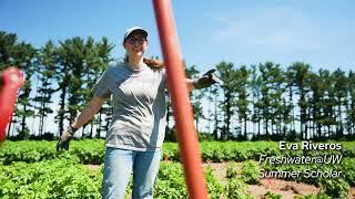 How Pesticides Affect Groundwater: A Look at Wisconsin's Potato Fields
