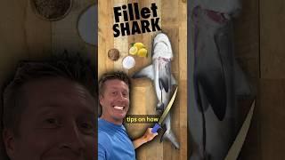 SHARK catch clean cook #fishing  #cooking #sharkweek