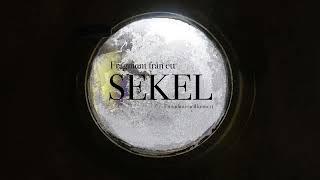 sekel trailer