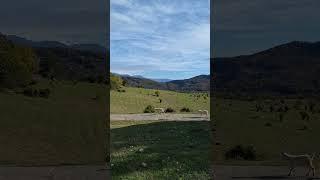 Горные луга вблизи с. Галицыно